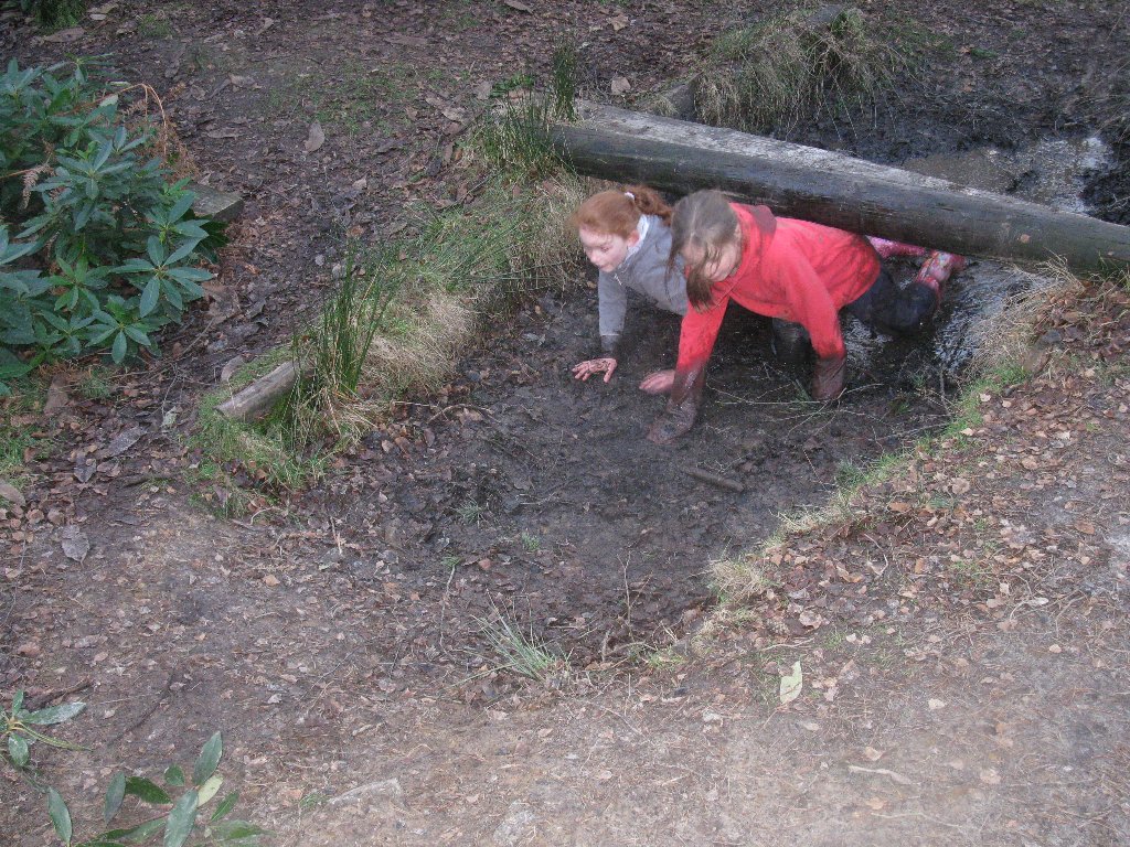 Down in the mud   15